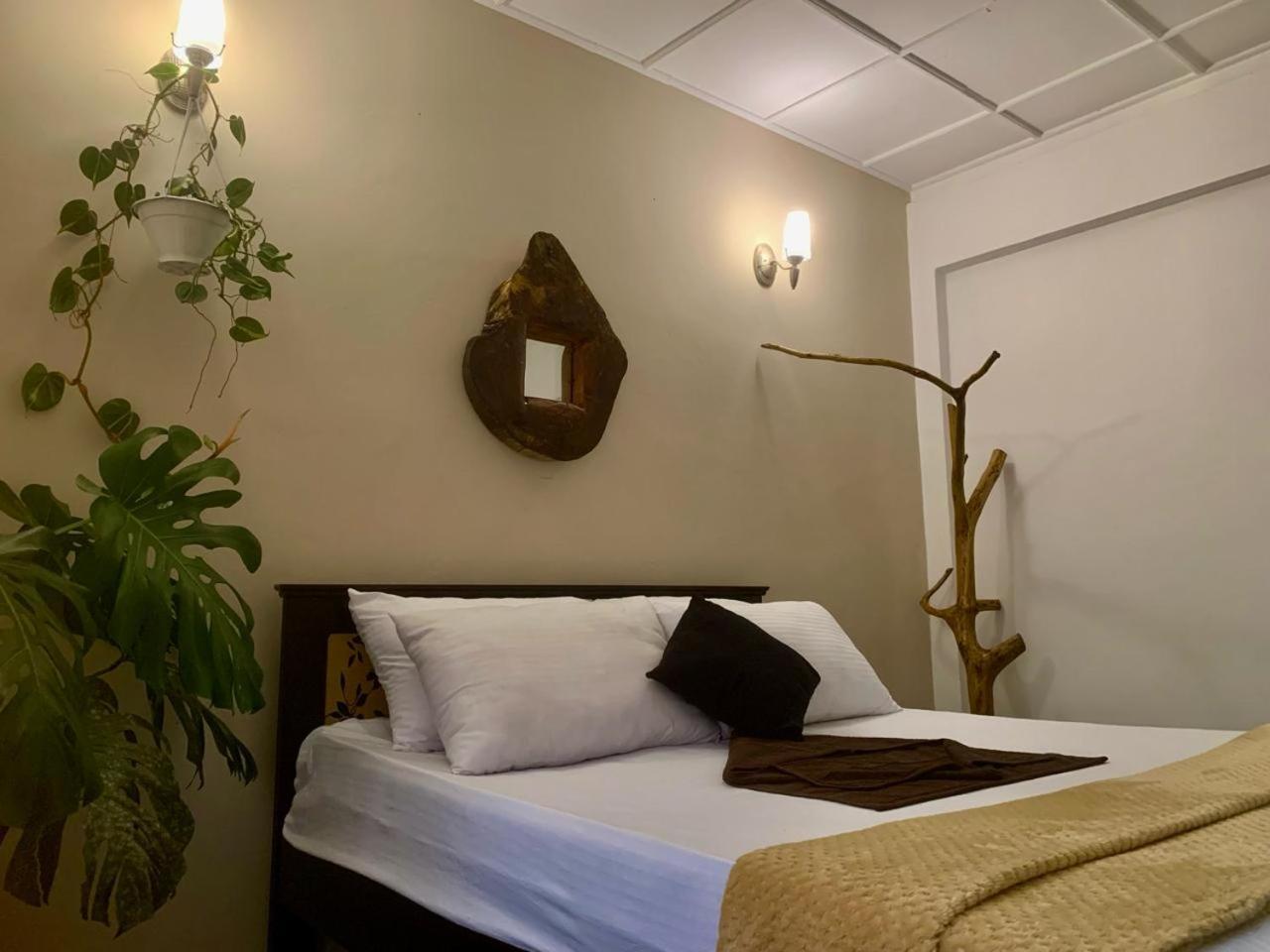 Ella Gypsies Hostel מראה חיצוני תמונה