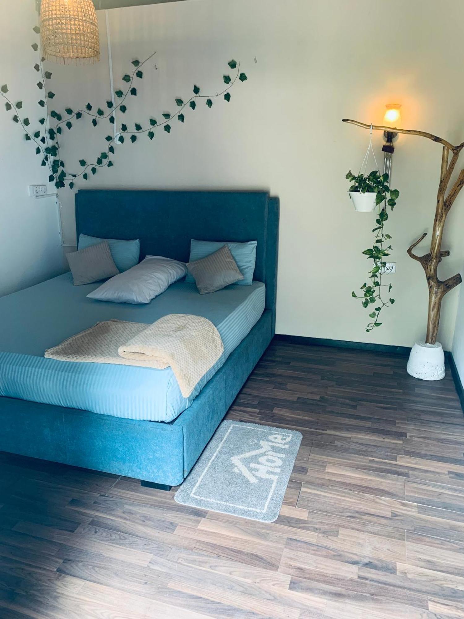 Ella Gypsies Hostel מראה חיצוני תמונה