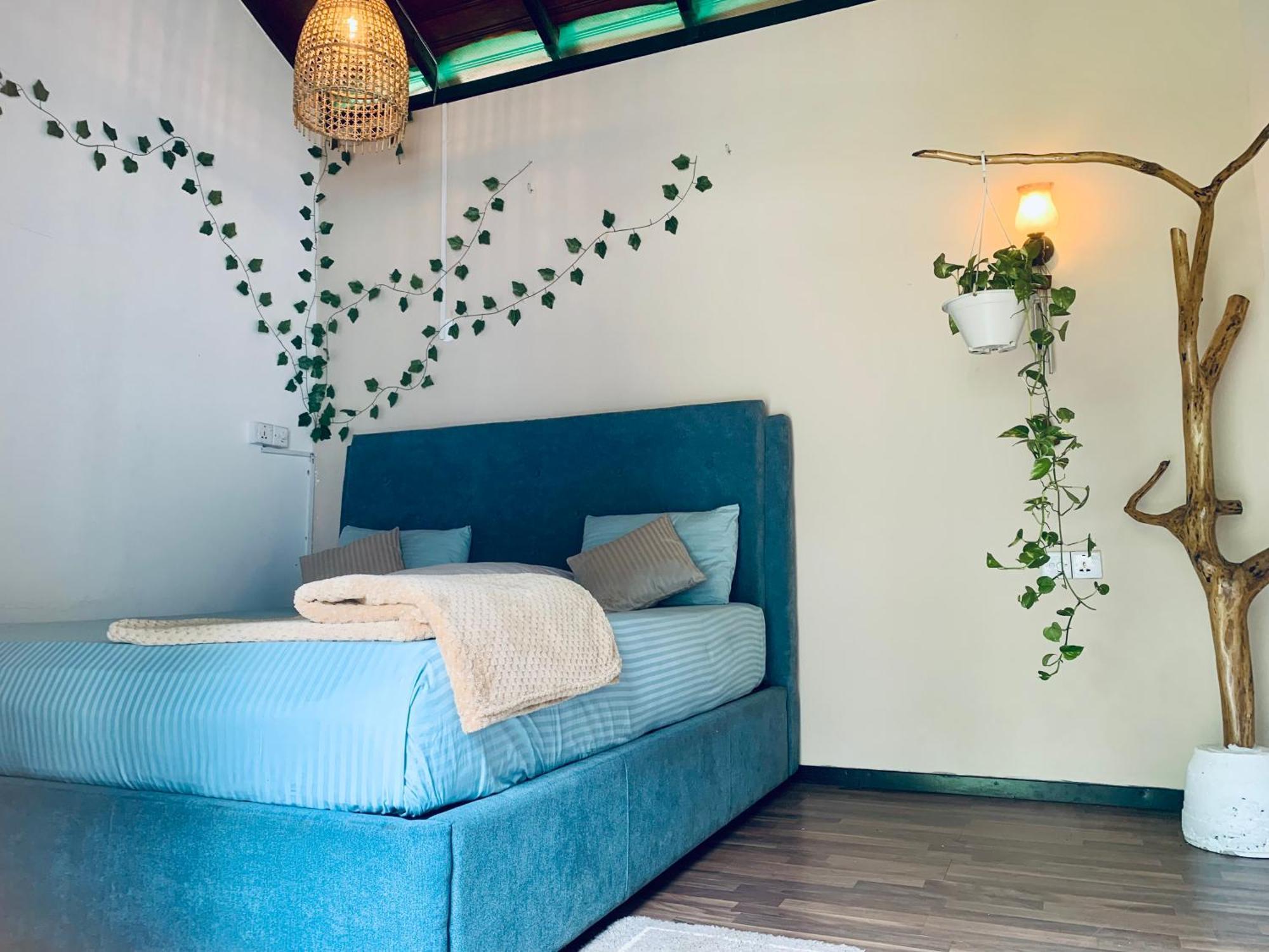 Ella Gypsies Hostel מראה חיצוני תמונה